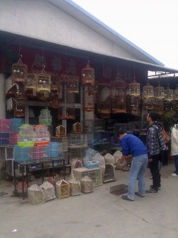 广州花地花鸟鱼虫市场