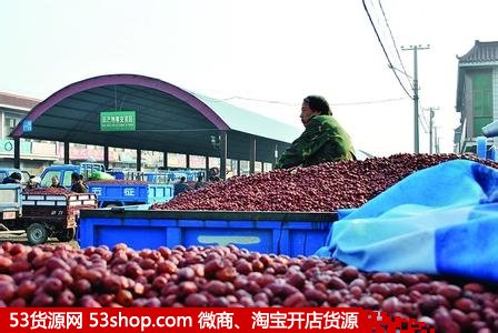 沧州红枣批发市场