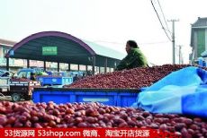 沧州红枣批发市场