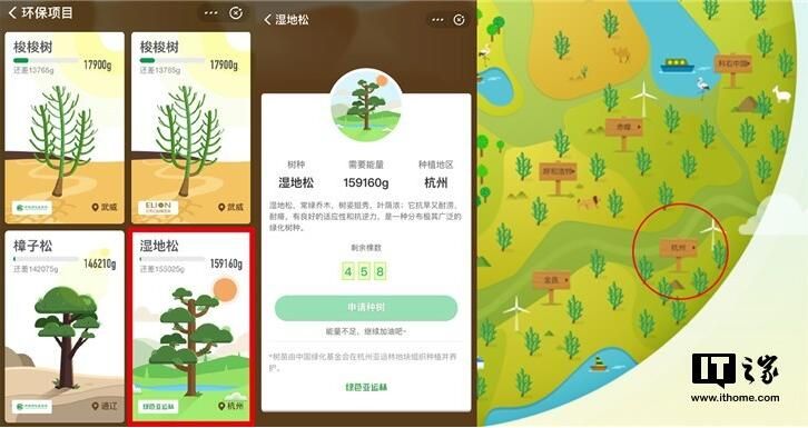支付宝蚂蚁森林上线新树种湿地松,将种在杭州亚运村