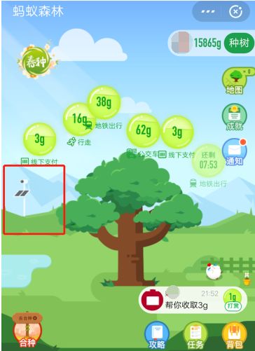 蚂蚁森林电子稻草人位置及作用,实时查看林地实景