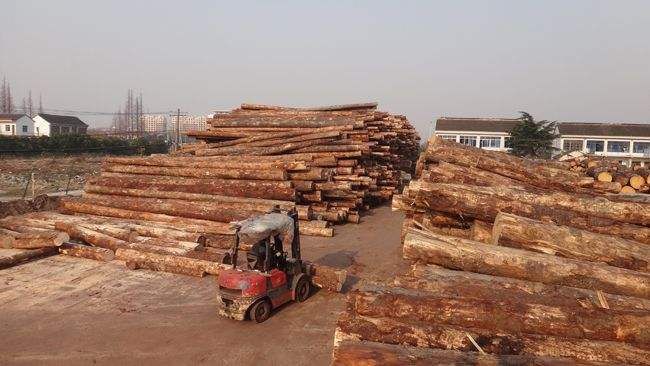 谁知道福州的木材交易市场在哪里？