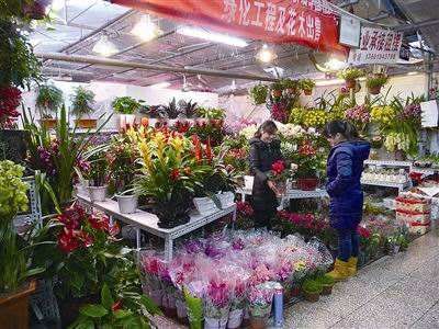 北京北顺花卉市场