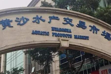 华南地区最大的水产批发市场:广州黄沙水产交易市场概况介绍
