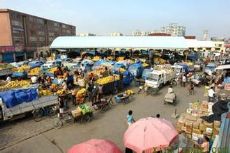 内蒙古包头市友谊蔬菜批发市场图片