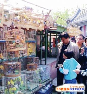 南京江宁路花鸟市场图片