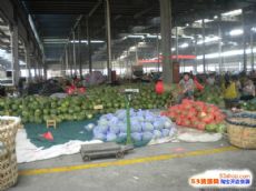 广西藤县太平农副产品批发市场图片