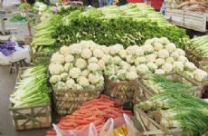 厦门蔬菜农副产品批发市场图片