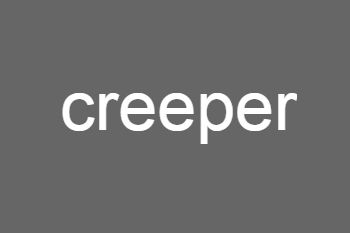 ˭֪creeperʲô˼