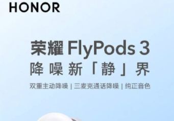 ϸҫFlyPods3ʹø