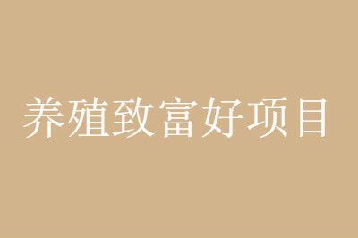 三个农村养殖致富好项目年收入十万以上