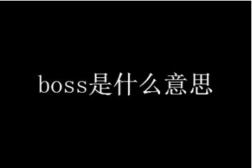 boss是什麼意思中文翻譯